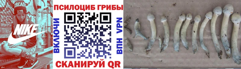 нарко площадка телеграм  цена наркотик  Солигалич  Псилоцибиновые грибы GOLDEN TEACHER 